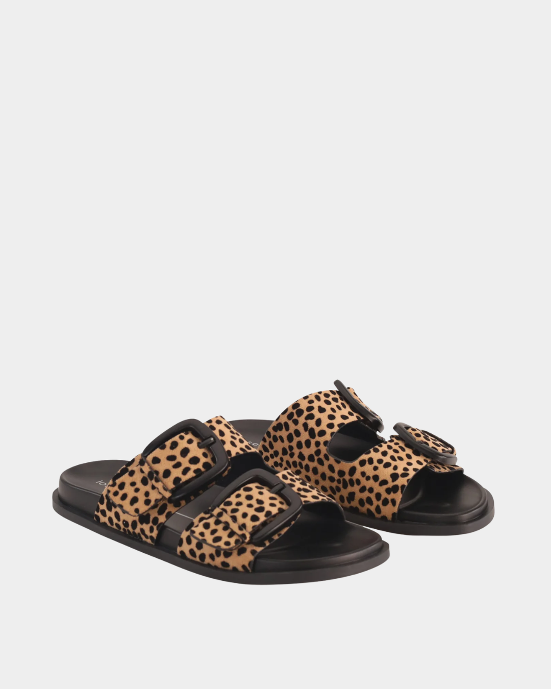Los Cabos Zani Slides