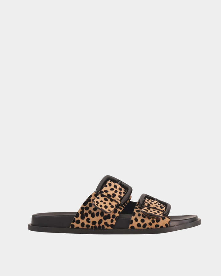 Los Cabos Zani Slides