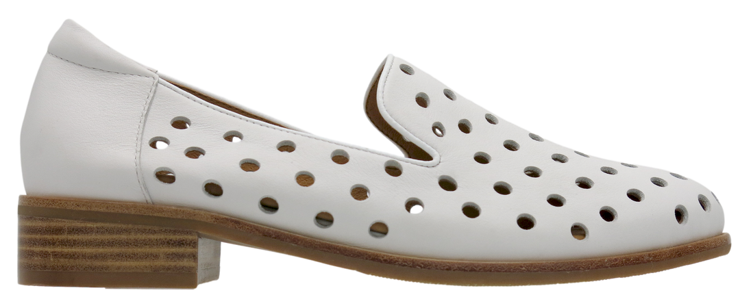 Bresley Aquarius