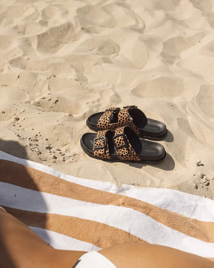 Los Cabos Zani Slides
