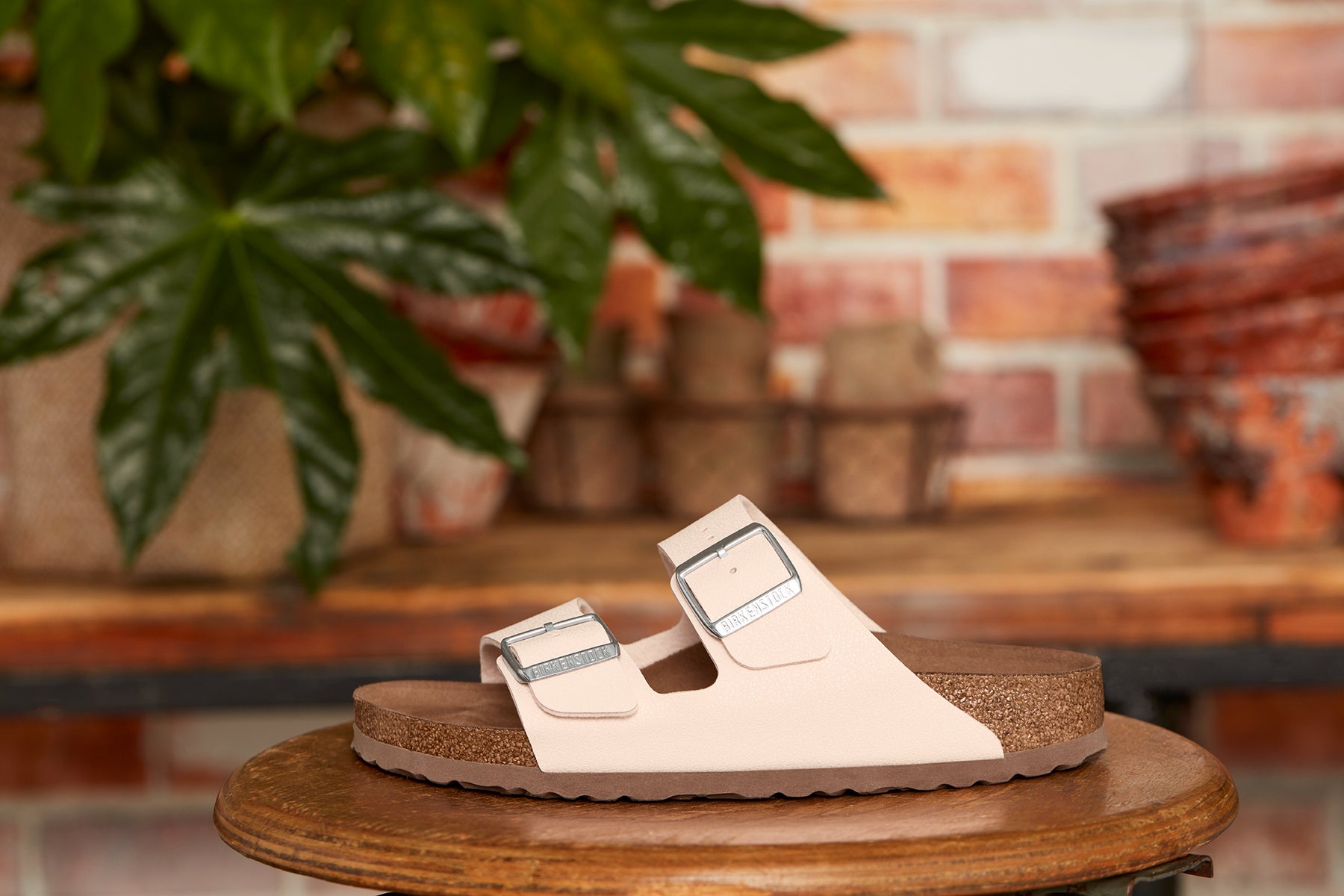 Rose arizona birkenstocks store